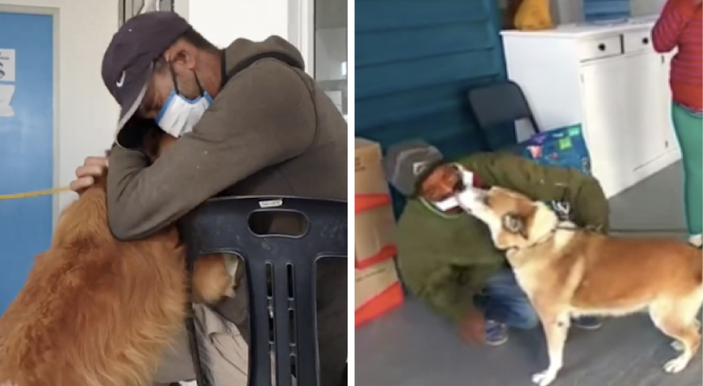 Hombres sin hogar se reencuentran con sus perros después de un mes de estar separados