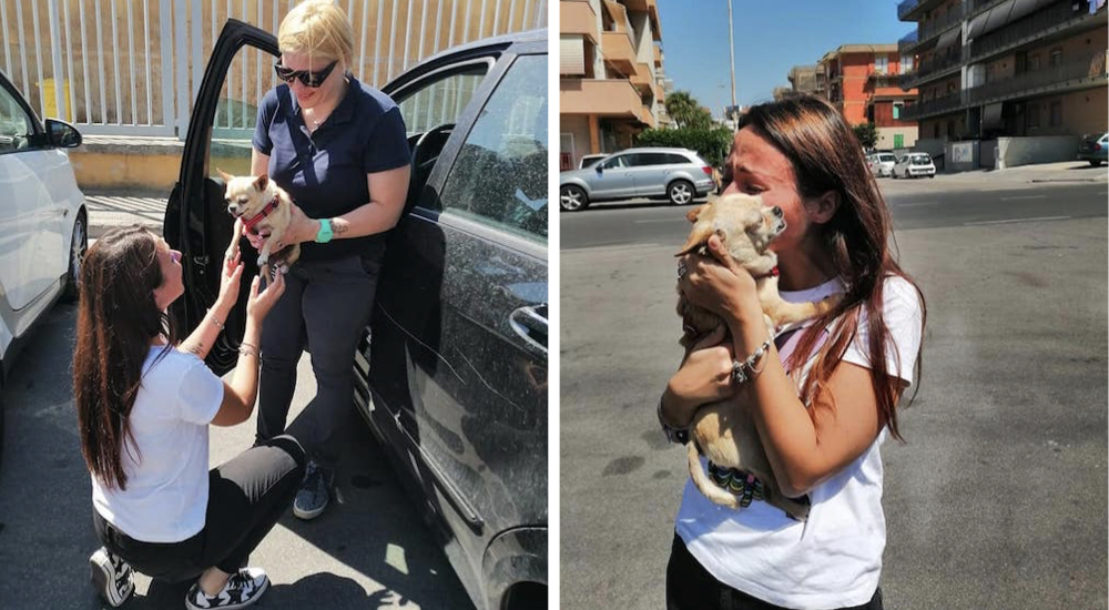 Tras 9 años de haber perdido a su perrita logra abrazarla de nuevo en un emotivo reencuentro Tras 9 años de haber perdido a su perrita logra abrazarla de nuevo en un emotivo reencuentro