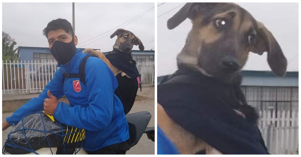 Un humilde repartidor rescata a una perrita abandonada y ahora lo acompaña en cada jornada Un humilde repartidor rescata a una perrita abandonada y ahora lo acompaña en cada jornada