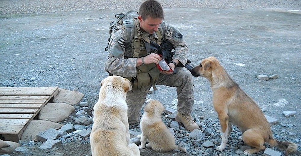 Un soldado hace lo imposible por reencontrarse con los perritos callejeros que le salvaron la vida