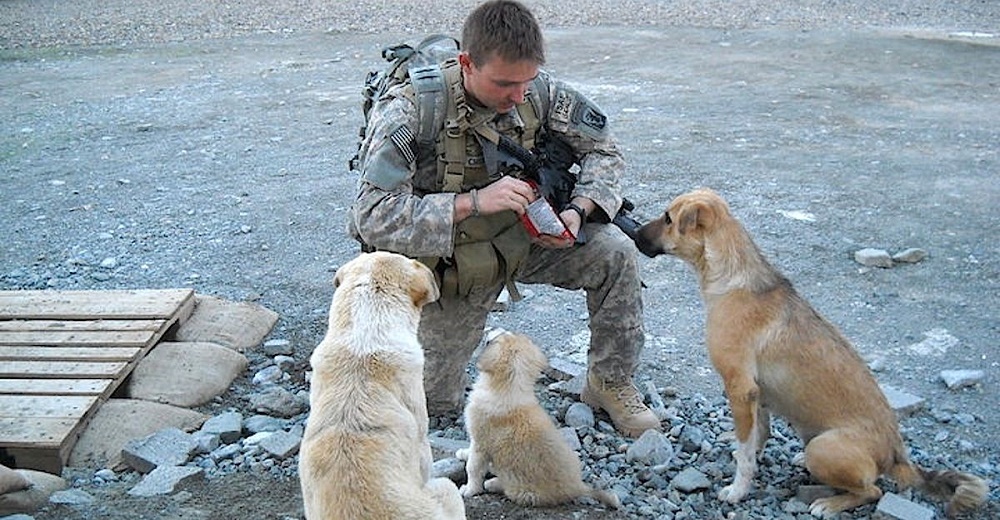 Un soldado hace lo imposible por reencontrarse con los perritos callejeros que le salvaron la vida Un soldado hace lo imposible por reencontrarse con los perritos callejeros que le salvaron la vida