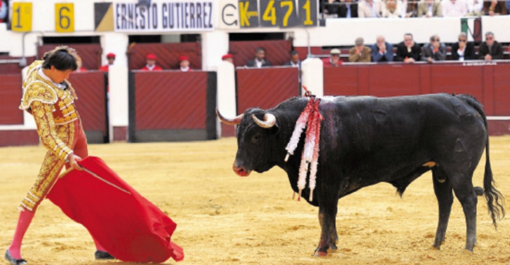 Nueva ley prohíbe la muerte del toro y todo instrumento «cortopunzante» que le cause sufrimiento