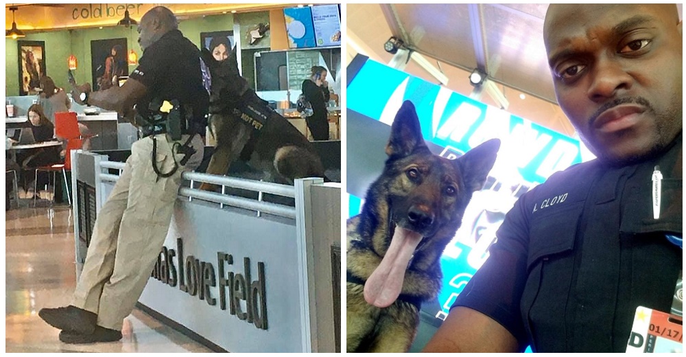 «No son tan rudos como parecen» – La adorable escena entre un policía y su perro en el aeropuerto «No son tan rudos como parecen» – La adorable escena entre un policía y su perro en el aeropuerto