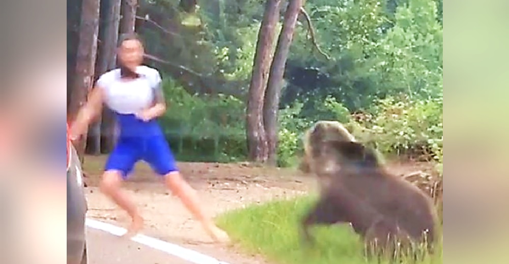 «Lo merecía» – Una turista huye despavorida tras luchar por hacerse una foto con un oso salvaje