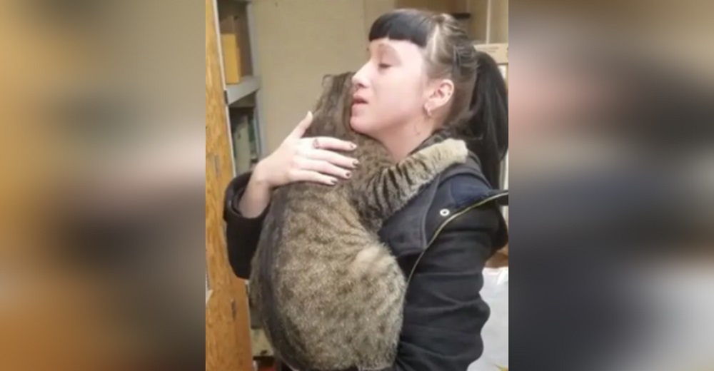 La reacción inmediata de un gato apenas vio a una mujer desconocida en un refugio se hace viral