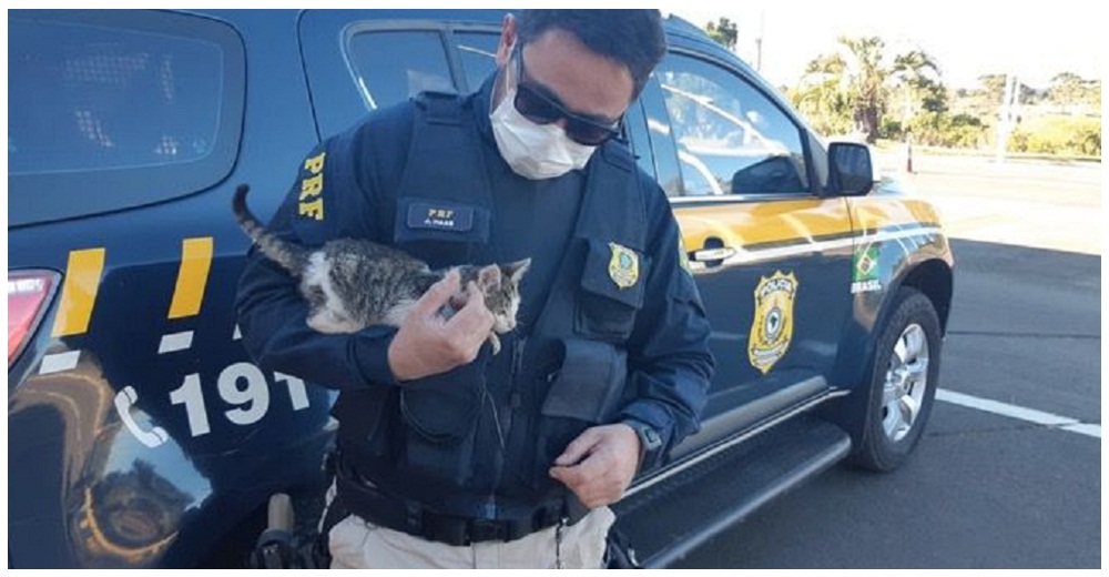 Un hombre arroja a un gato desde la ventana de su auto y un policía corre a salvarlo