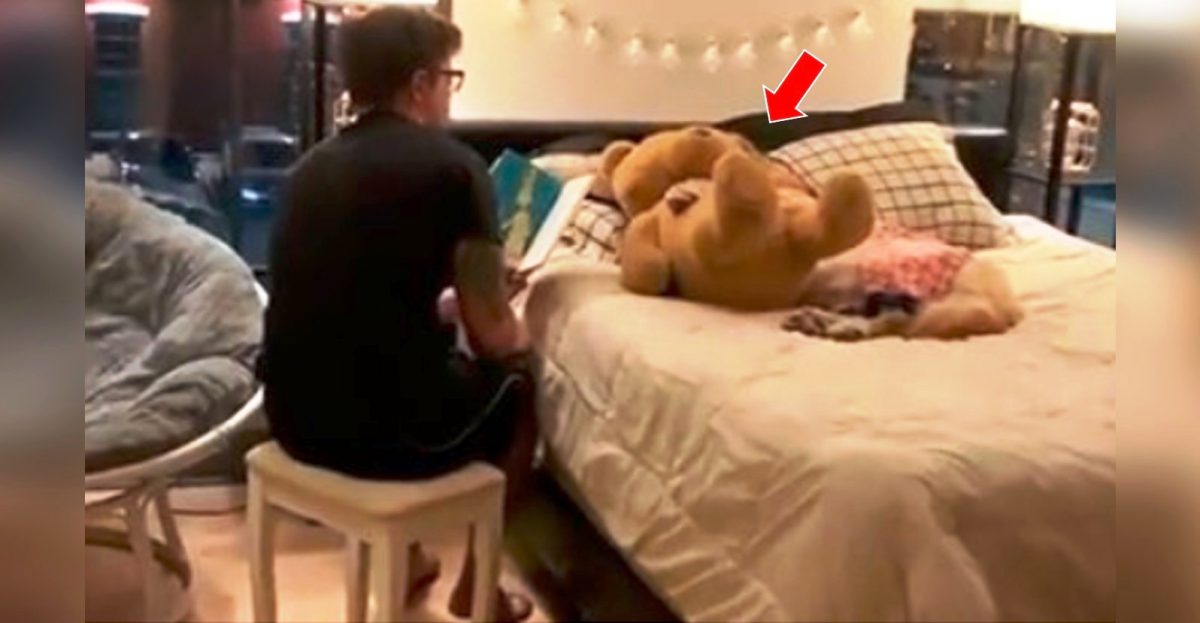 Graba a escondidas a su novio y descubre el trato que recibe su amado Golden Graba a escondidas a su novio y descubre el trato que recibe su amado Golden