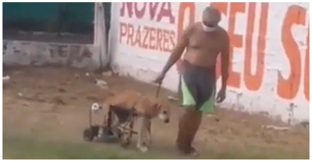 Graban a un humilde hombre empujando a su perro discapacitado en la silla que él mismo construyó