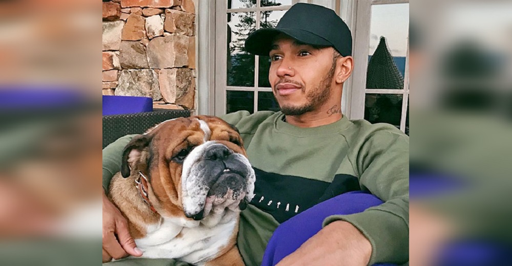 Lewis Hamilton revela los efectos que sufri贸 su perro tras una pol茅mica decisi贸n sobre su dieta Lewis Hamilton revela los efectos que sufri贸 su perro tras una pol茅mica decisi贸n sobre su dieta