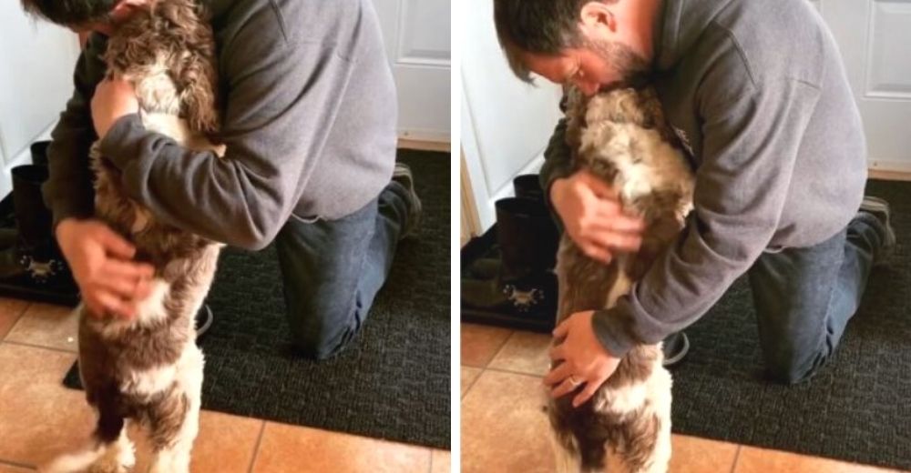 Un consentido perrito entrena a su familia para que lo abracen varias veces al día