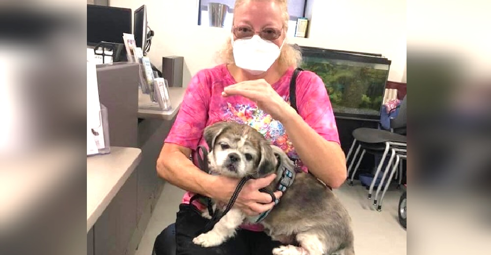 Una doctora adopta al perrito que se quedó solo porque su paciente no logró sobrevivir