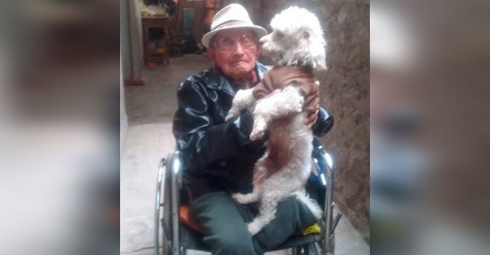 Desesperado abuelito de 90 años acude a las redes para que lo ayuden a encontrar a su perrito