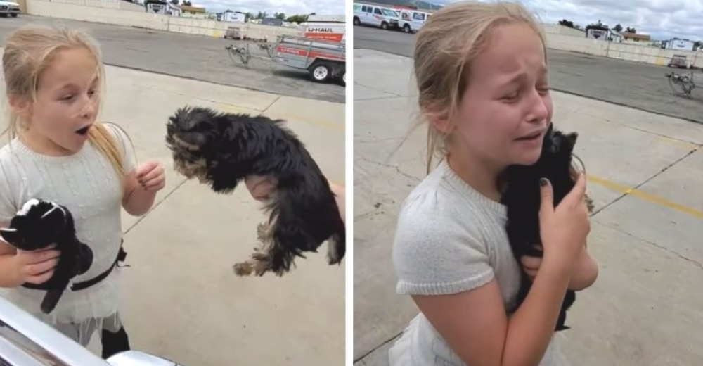 Niña llora emocionada cuando esperaba recibir un peluche y le entregan un cachorrito