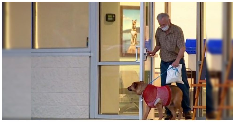 Su perrita lo salva del ataque de un ladrón y se reencuentran en la puerta del hospital