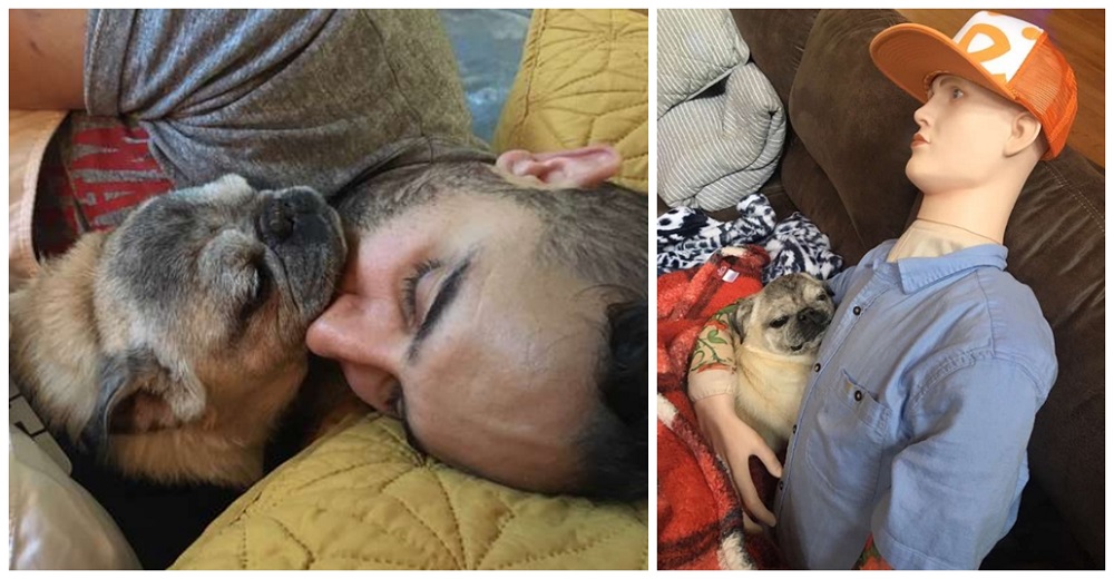 Perrito desolado por no poder abrazar a su dueño halla consuelo en el «hombre» que tiene su olor Perrito desolado por no poder abrazar a su dueño halla consuelo en el «hombre» que tiene su olor