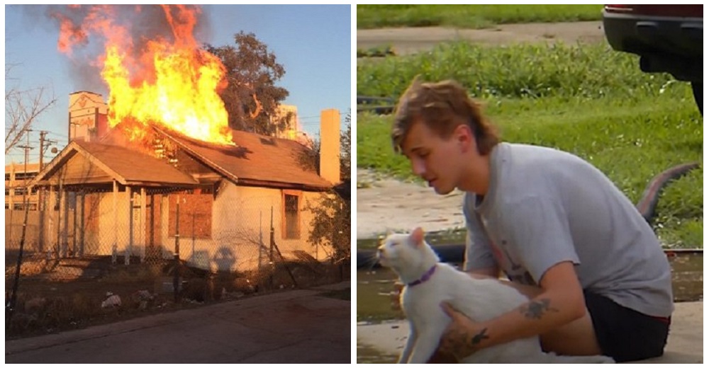 Lloran desesperados mientras los bomberos intentan salvar a sus 3 mascotas de su casa en llamas