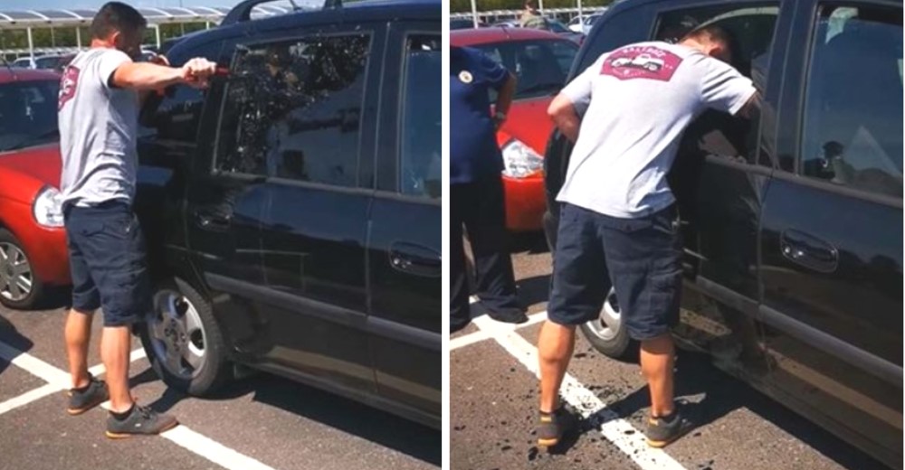 Hombre rompe el cristal de la ventana para salvar a un perrito encerrado en un auto caliente