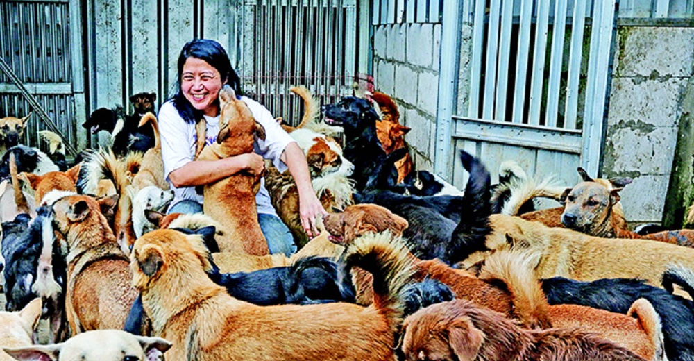 Doctora salva a más de 1.000 perros que serían sacrificados para comérselos durante la pandemia