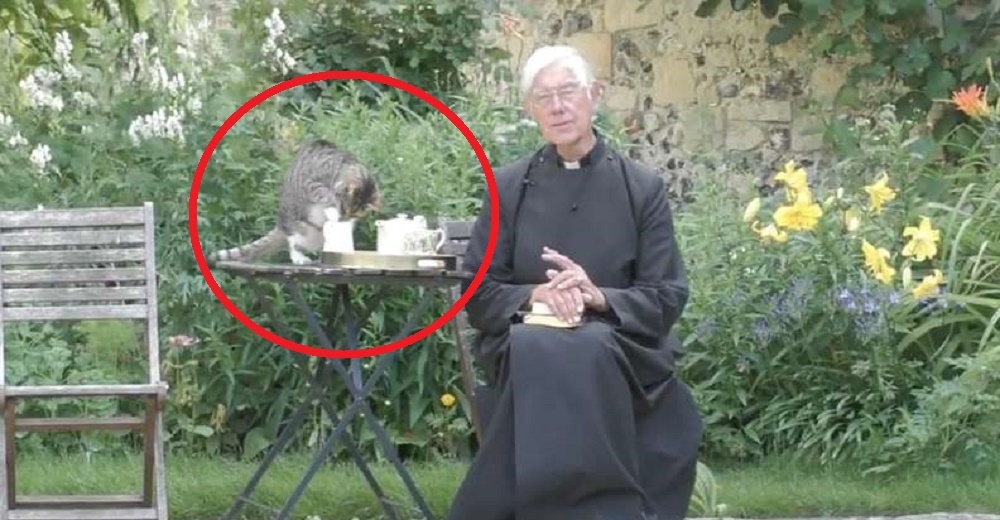 Un sacerdote es interrumpido por un gato en plena oración en vivo y se ve obligado a intervenir