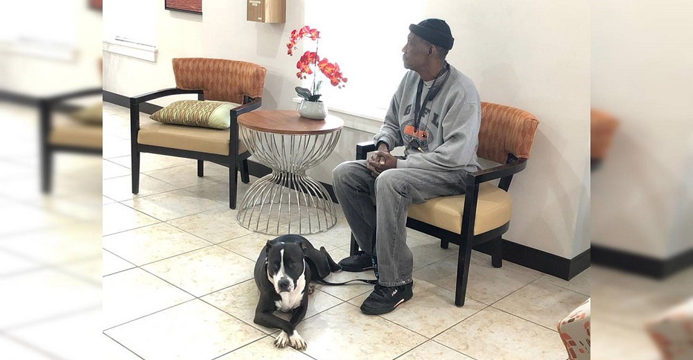 Discapacitado recibe la peor amenaza de sus vecinos si no se deshace de su perrita de apoyo Discapacitado recibe la peor amenaza de sus vecinos si no se deshace de su perrita de apoyo