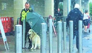 Vigilante de un supermercado es aclamado por proteger a un perrito con su propio paraguas