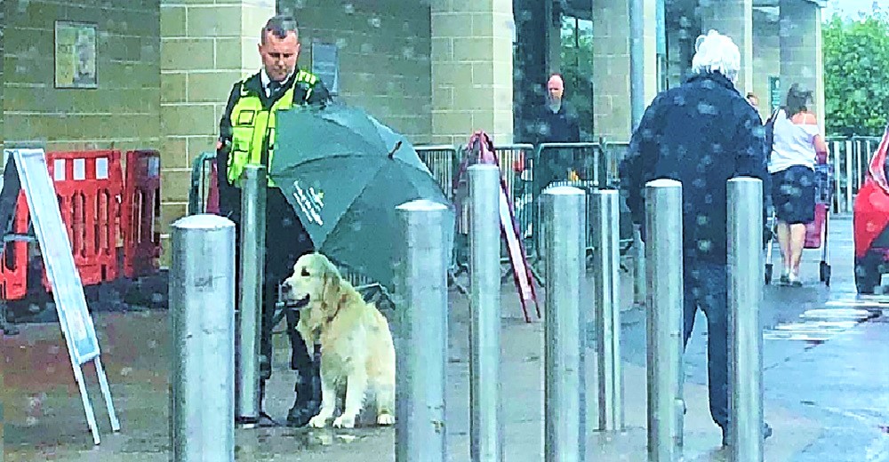 Vigilante de un supermercado es aclamado por proteger a un perrito con su propio paraguas