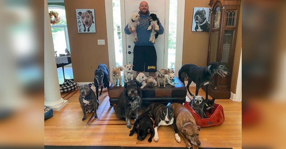Gastan más de 55 mil dólares para transformar su casa y darles la vida que merecen sus 20 perros Gastan más de 55 mil dólares para transformar su casa y darles la vida que merecen sus 20 perros