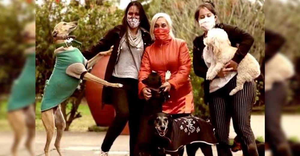 3 amigas que cuidan a más de 50 perritos callejeros se quedan sin recursos y suplican ayuda 3 amigas que cuidan a más de 50 perritos callejeros se quedan sin recursos y suplican ayuda
