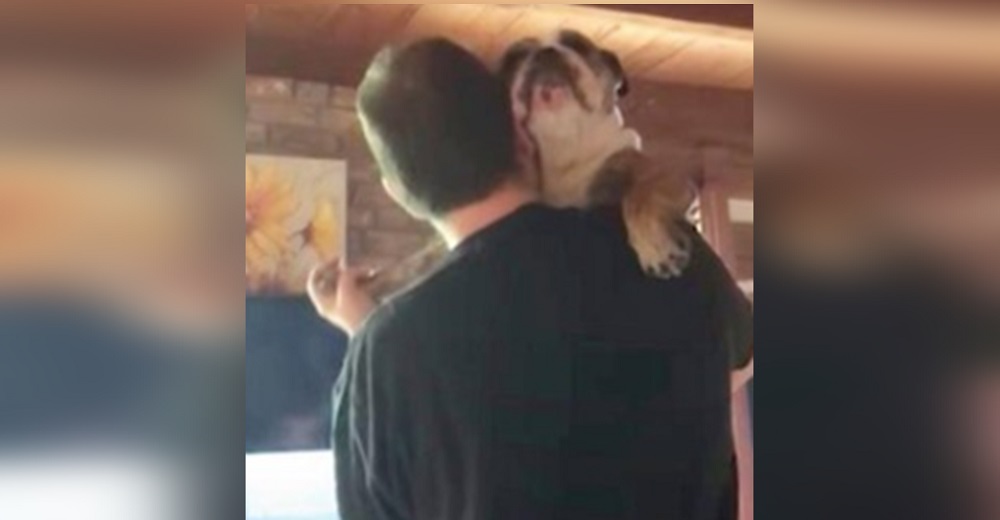 Bulldog enamora a su padre cada vez que salta a sus brazos para pedirle que baile con ella Bulldog enamora a su padre cada vez que salta a sus brazos para pedirle que baile con ella