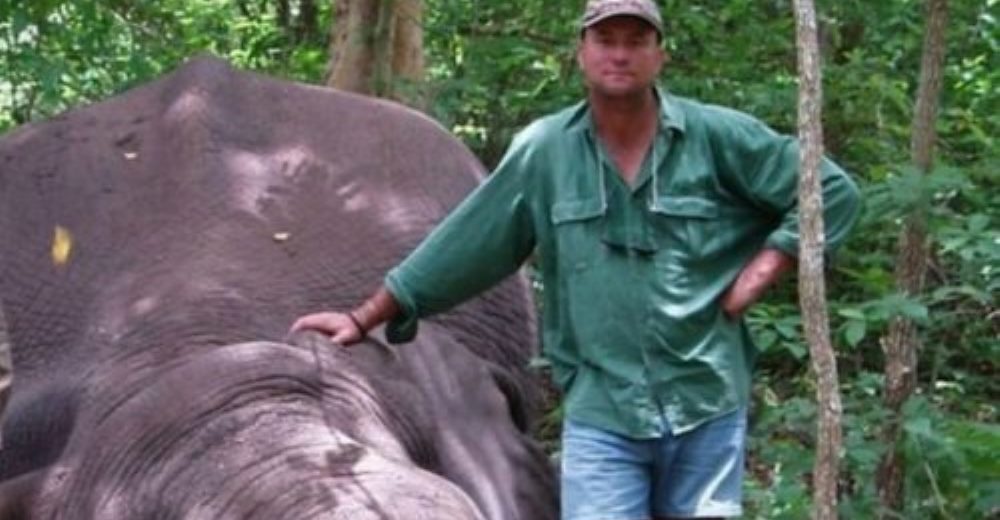 Muere un cazador arrollado por una elefante que intentaba defender a sus crías