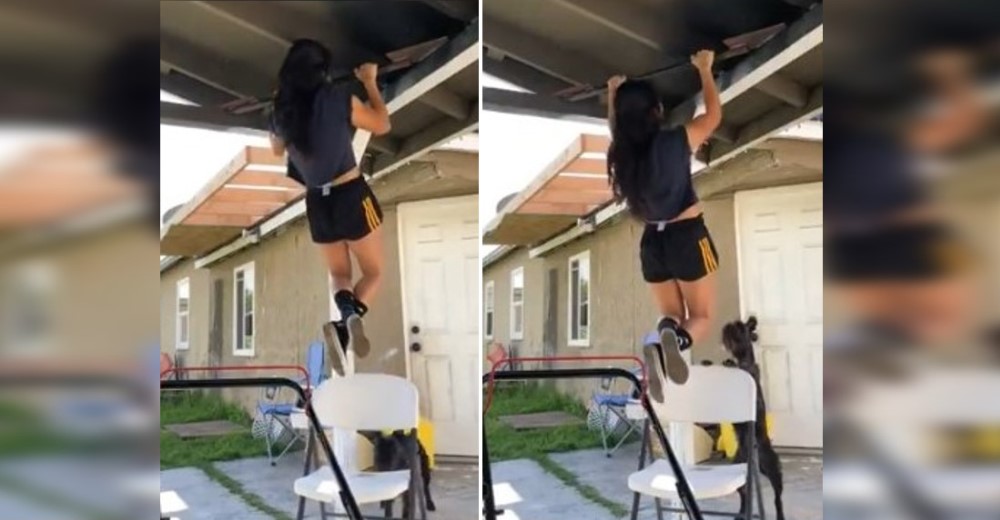 El cachorro que salvó a su dueña de su gran «apuro» mientras hacía flexiones se hace viral El cachorro que salvó a su dueña de su gran «apuro» mientras hacía flexiones se hace viral