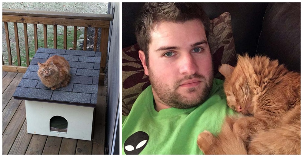 Un hombre pasa un año entero tratando de ganarse la confianza y el amor de un gato sin hogar Un hombre pasa un año entero tratando de ganarse la confianza y el amor de un gato sin hogar