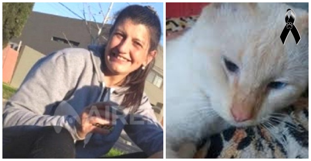 Acaban con la vida de las mascotas de una enfermera para que se vaya del barrio