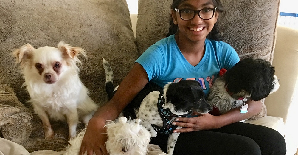 A los 14 años ayuda a los perros abandonados recordando lo que vivió en los orfanatos A los 14 años ayuda a los perros abandonados recordando lo que vivió en los orfanatos