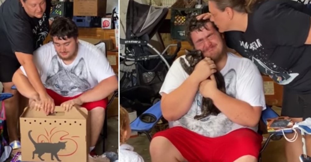 Joven con autismo no puede parar de llorar al recibir un nuevo gatito para ayudarlo en su luto Joven con autismo no puede parar de llorar al recibir un nuevo gatito para ayudarlo en su luto