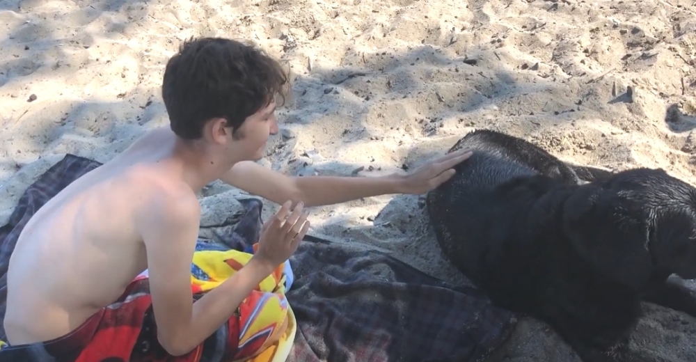 Un niño autista con fobia a los perros se atreve a tocar uno en la playa alarmando a su madre Un niño autista con fobia a los perros se atreve a tocar uno en la playa alarmando a su madre
