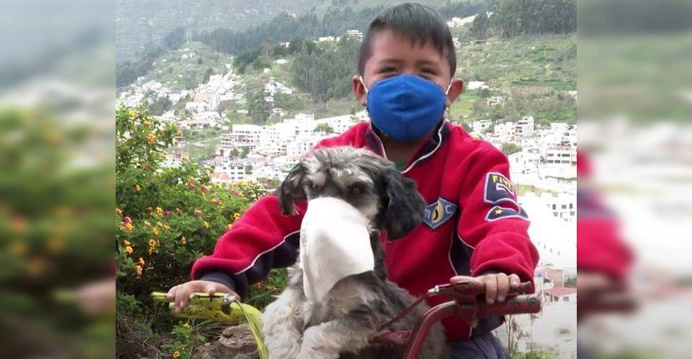 Habla el niño que se hizo viral tras ser grabado protegiéndose él y su perro con un tapabocas