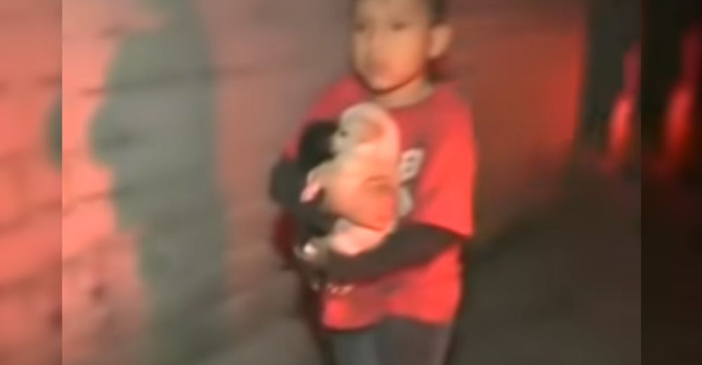 Un niño de 10 años saca entre sus brazos a sus mascotas de su vivienda devastada por las llamas