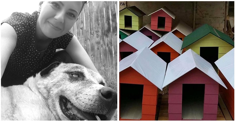 No pueden superar la pérdida de su perrito y en su honor donan casas para callejeritos No pueden superar la pérdida de su perrito y en su honor donan casas para callejeritos