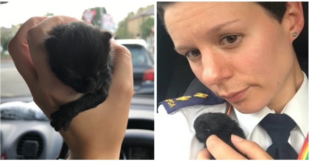 «Solo me tenía a mí»- Una policía usa su ropa para salvar la vida de una gata recién nacida «Solo me tenía a mí»- Una policía usa su ropa para salvar la vida de una gata recién nacida
