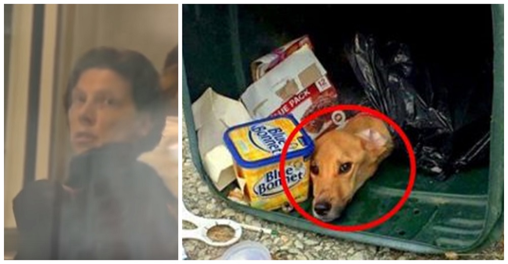 Arroja a su perrita enferma y atada en la basura para irse con su novio, y él la deja Arroja a su perrita enferma y atada en la basura para irse con su novio, y él la deja