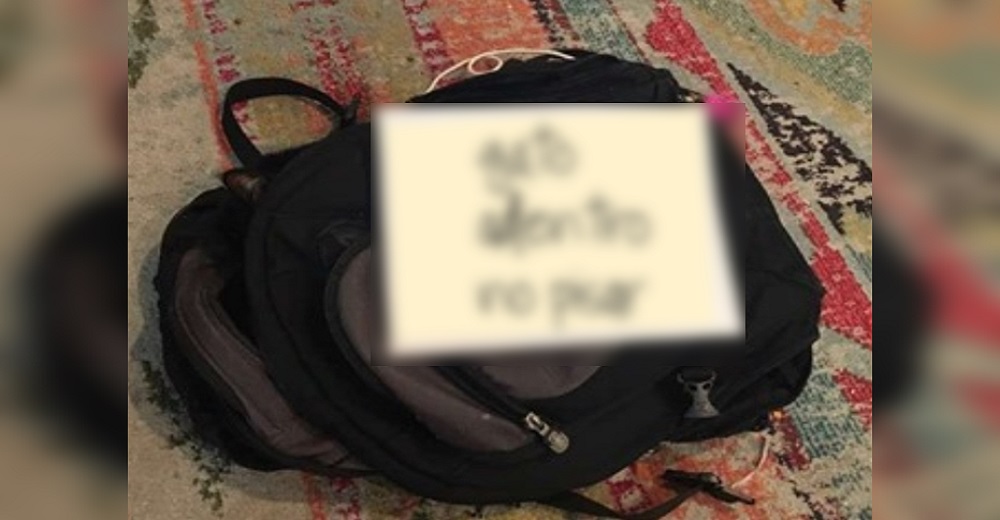 Estaban a punto de pisar la mochila vacía hasta que descubren que hay vida en su interior Estaban a punto de pisar la mochila vacía hasta que descubren que hay vida en su interior