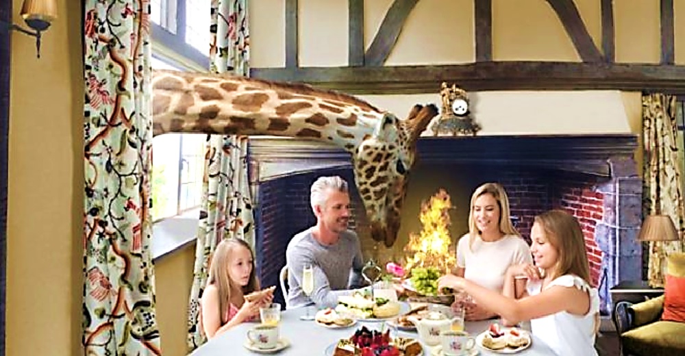 En un hotel ofrecen como atracción cenar con jirafas y otros animales silvestres cautivos