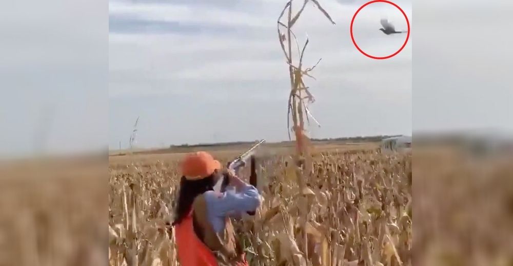 Se graba acabando con la vida de inocentes aves para presumir que así vive el distanciamiento Se graba acabando con la vida de inocentes aves para presumir que así vive el distanciamiento