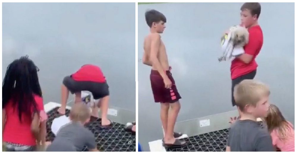“Si no estaba allí iba a morir”– Niño se mete al desagüe para rescatar a un perrito casi ahogado “Si no estaba allí iba a morir”– Niño se mete al desagüe para rescatar a un perrito casi ahogado