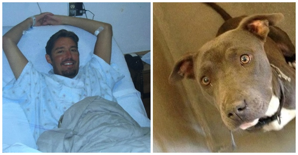 El médico le dice que sólo un difícil trasplante lo salvaría, pero sus perros tenían otro plan El médico le dice que sólo un difícil trasplante lo salvaría, pero sus perros tenían otro plan