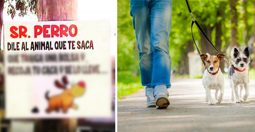 Ponen un letrero dirigido a los «animales» que sacan a pasear a los perros y se hace viral Ponen un letrero dirigido a los «animales» que sacan a pasear a los perros y se hace viral