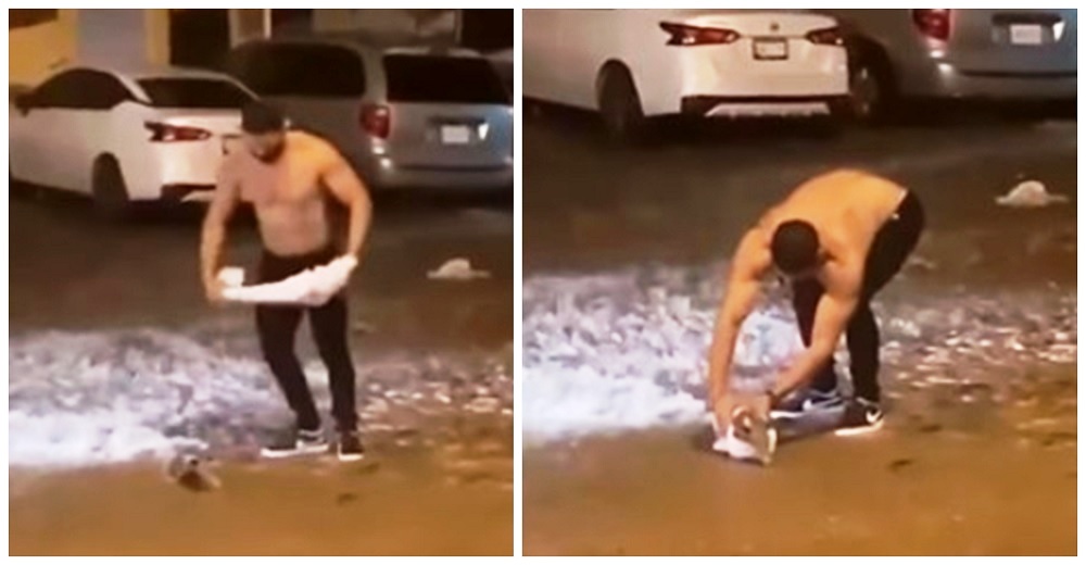 Se detiene ante una zarigüeya herida que luchaba por su vida y se saca la camiseta para salvarla Se detiene ante una zarigüeya herida que luchaba por su vida y se saca la camiseta para salvarla