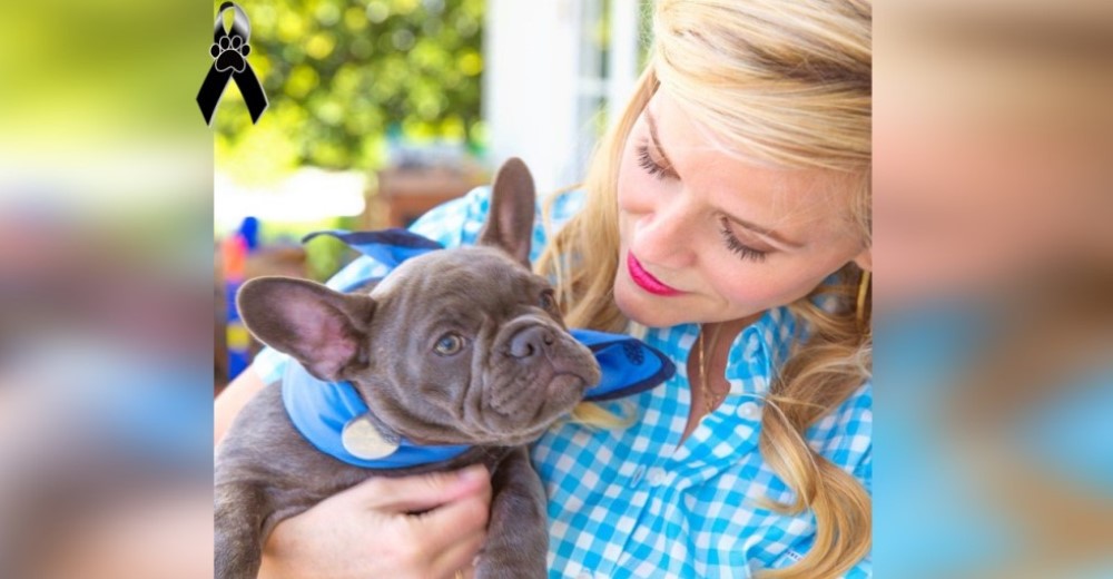 La actriz Reese Witherspoon llora la pérdida de su amada perrita que murió mientras dormía