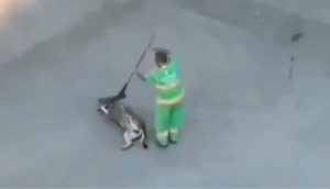 Graban a un barrendero cuando un perrito sin hogar insistía en estorbarlo en su trabajo